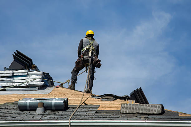 Professional Roof Installation technician working in Camden, IL